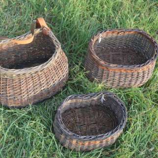 Stage panier à olive